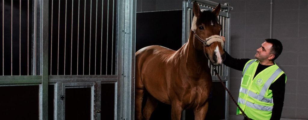 Turkish Cargo joins the Animal Transportation Association