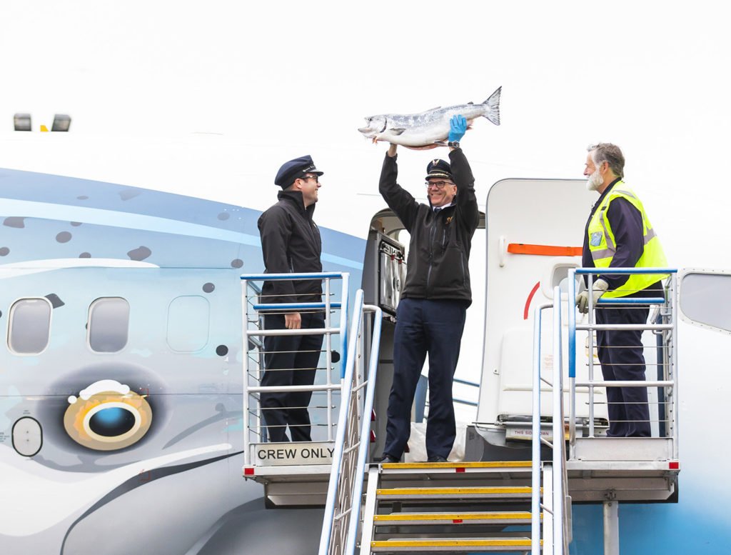 Alaska Air Cargo brings the season’s first wild Copper River salmon to Seattle