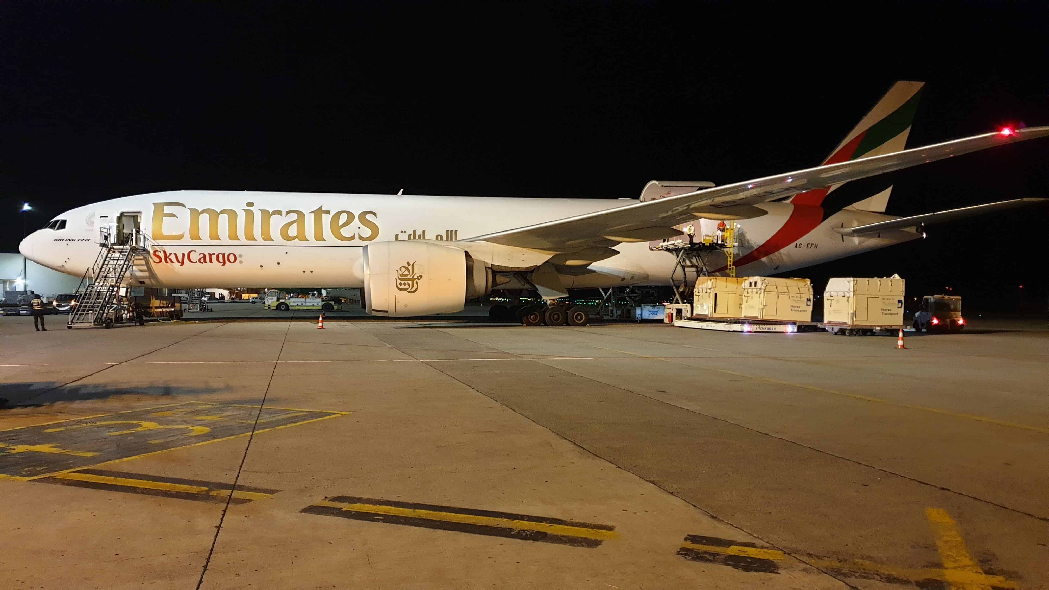 Emirates SkyCargo has transported over 2000 horses in 201819