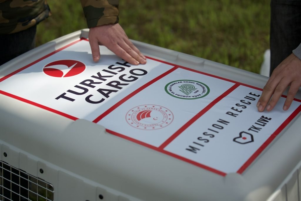 The homecoming story of an endangered vulture with Turkish Cargo!