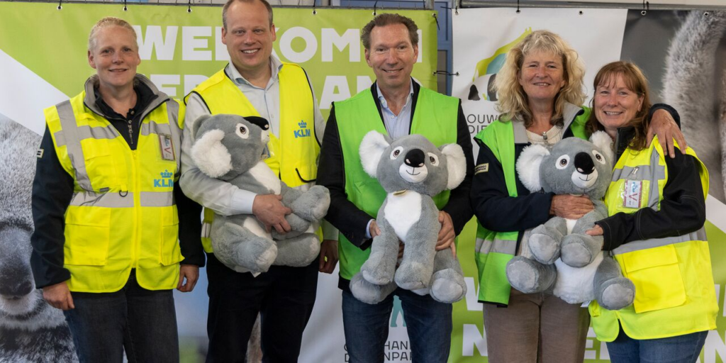 Air France KLM Martinair Cargo transports koalas to Ouwehands Zoo