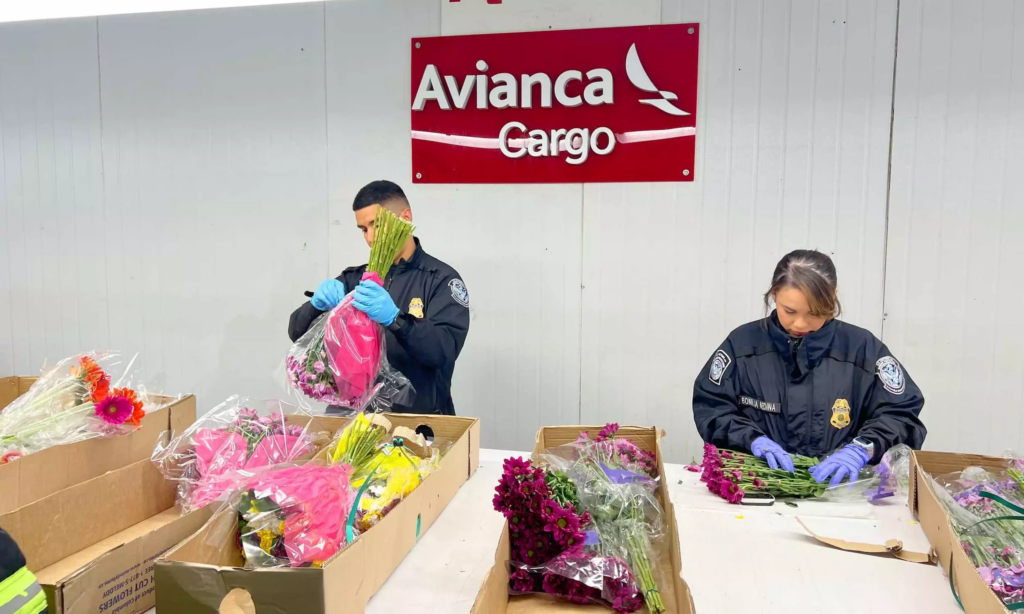 Avianca Cargo transported more than 400 million flower stems to the United States for the Mother’s Day celebration