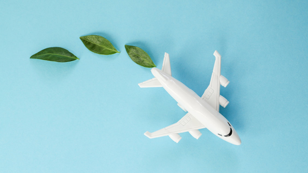 IATA SAF Registry