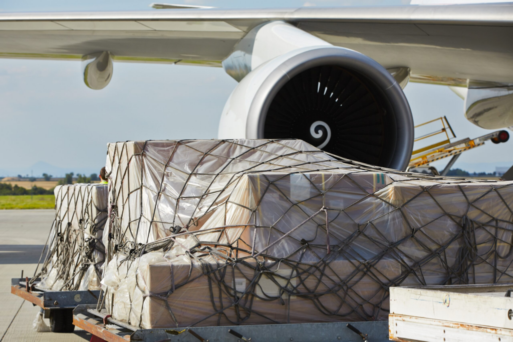 Asia Pacific Airlines Report Strong Growth in November 2024, Driven by Robust Demand in Passenger and Cargo Sectors