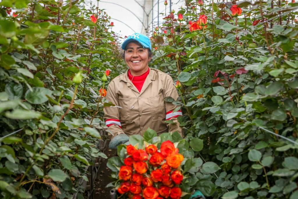 LATAM Group Leads Flower Transport to the United States for Valentine’s Day, Moving Nearly 25,000 Tons