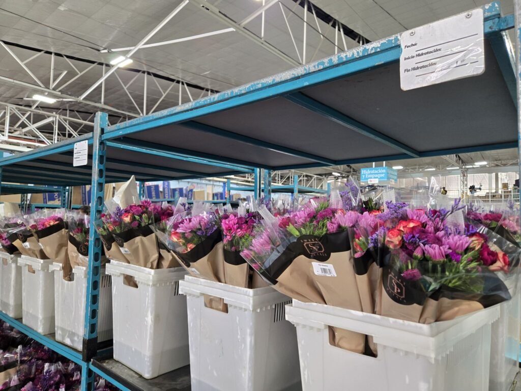 Avianca Cargo Celebrates Record-Breaking Valentine’s Day Flower Shipments