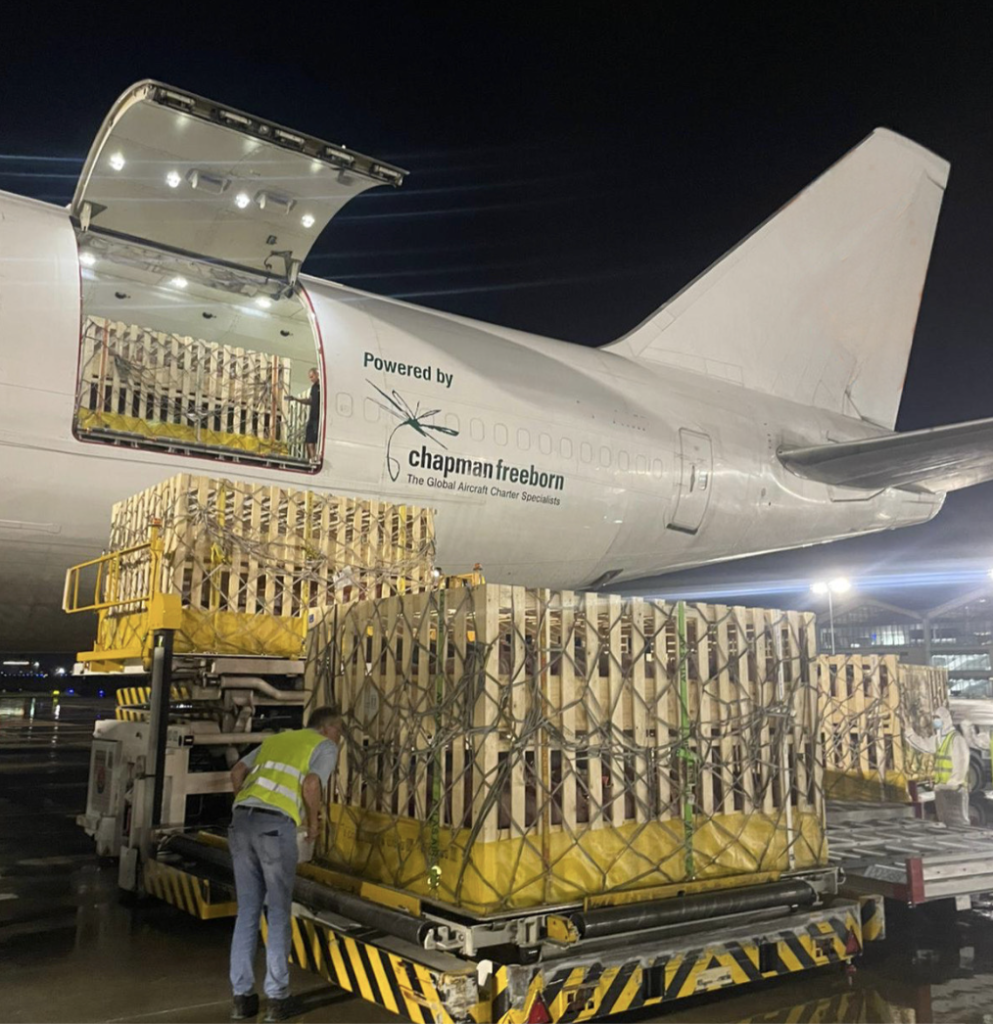 Intradco Global Flies 1,200 Breeding Pigs from Denmark to the Philippines