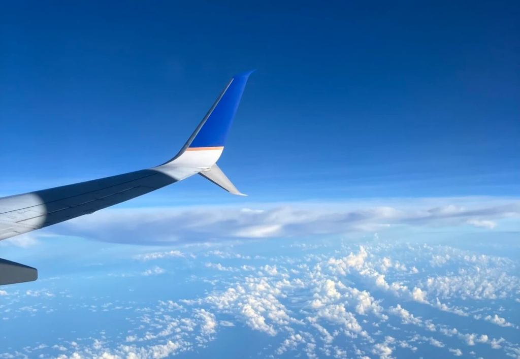 E-Commerce Surges Past 20% of Global Air Cargo as Special Cargo Demand Redefines Operations
