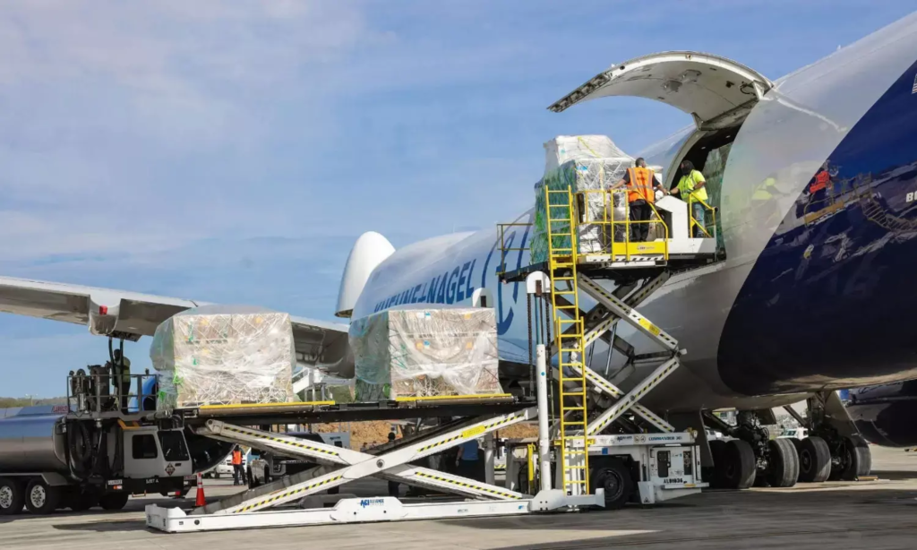 Air cargo stays resilient in 2025 as Freightos outlook points to steady growth in 2026