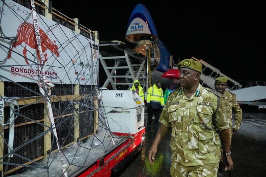 Air Cargo Supports Conservation: Endangered Mountain Bongos Transported to Kenya