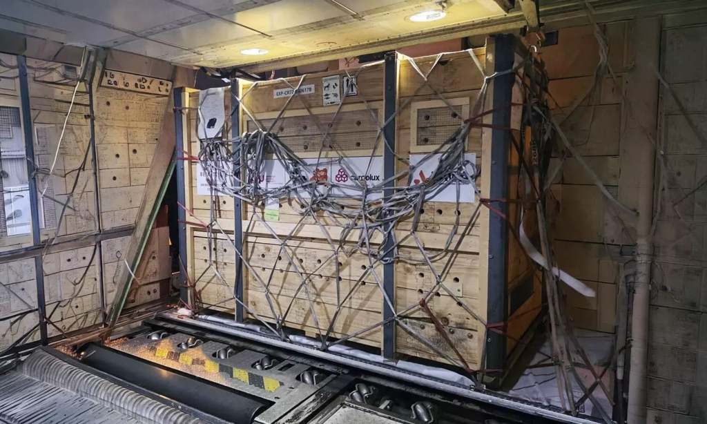 Cargolux Supports Wildlife Conservation Mission by Transporting Six Asian Bears to New Sanctuary in Denmark