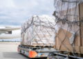 Ezhou Shunjia Aviation Ground Service Achieves All Four IATA CEIV Certifications, Setting New Benchmark for Special Cargo Handling