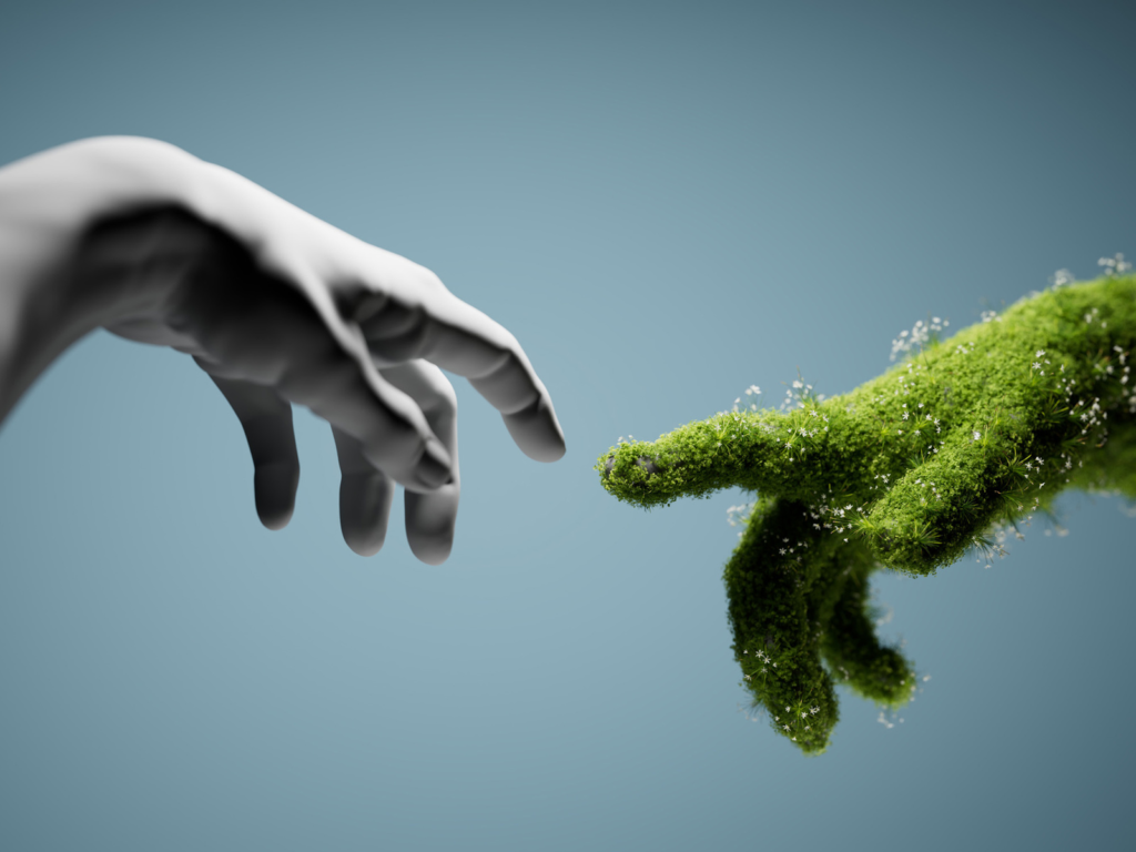 IATA-backed alliance expands to strengthen carbon credit supply for CORSIA
