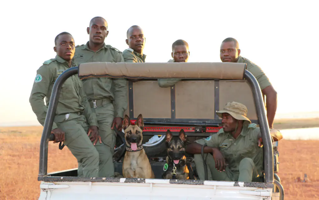 K9 unit flown by Emirates SkyCargo to Zimbabwe begins frontline operations