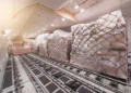 Air Cargo Demand Holds Firm in August as Falling Rates Signal a More Challenging Market