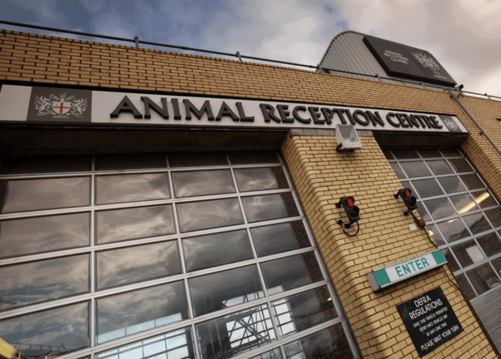 Heathrow Animal Reception Centre Secures Third Consecutive IATA Live Animals Re-Certification