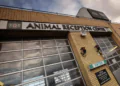Heathrow Animal Reception Centre Secures Third Consecutive IATA Live Animals Re-Certification