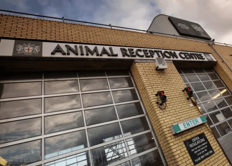 Heathrow Animal Reception Centre Secures Third Consecutive IATA Live Animals Re-Certification