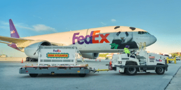 FedEx Transports Two Giant Pandas from China to Atlanta on Dedicated Boeing 777F
