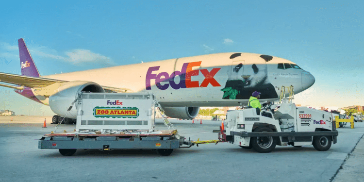FedEx Transports Two Giant Pandas from China to Atlanta on Dedicated Boeing 777F
