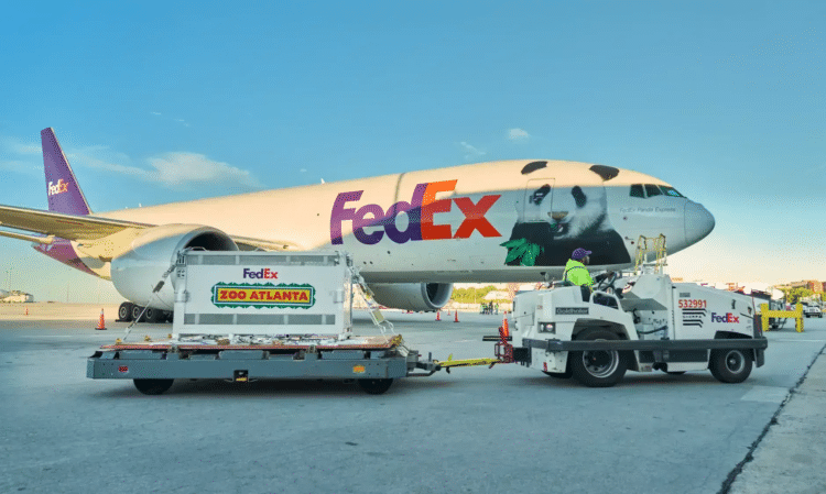 FedEx Transports Two Giant Pandas from China to Atlanta on Dedicated Boeing 777F