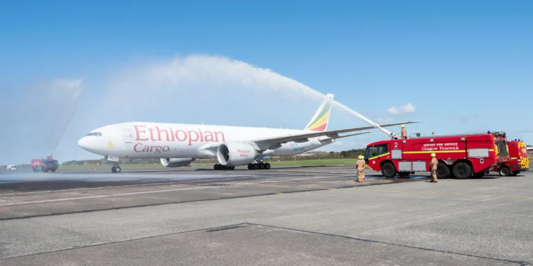 Air cargo traffic slows as capacity holds steady and rates continue to rise