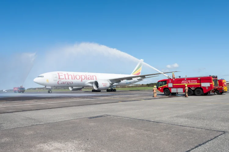 Air cargo traffic slows as capacity holds steady and rates continue to rise