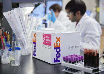 FedEx Europe launches digital booking portal for temperature-controlled cargo