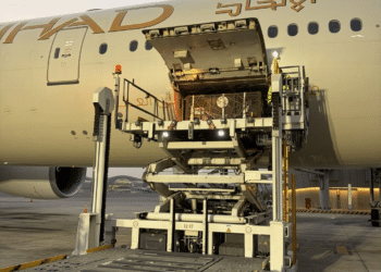 Etihad Cargo Supports Five-Year Rescue of Two Brown Bears from Russia to Ireland