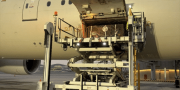 Etihad Cargo Supports Five-Year Rescue of Two Brown Bears from Russia to Ireland