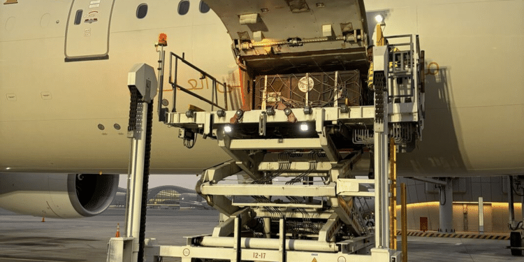 Etihad Cargo Supports Five-Year Rescue of Two Brown Bears from Russia to Ireland