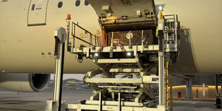 Etihad Cargo Supports Five-Year Rescue of Two Brown Bears from Russia to Ireland