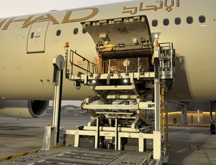 Etihad Cargo Supports Five-Year Rescue of Two Brown Bears from Russia to Ireland