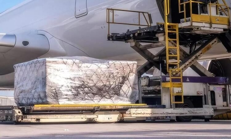 Air cargo pallet being loaded onto a freighter