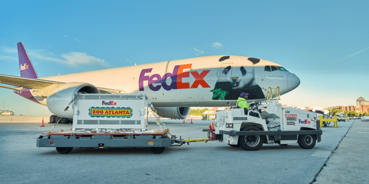 FedEx Panda Express transports giant pandas from China to the US