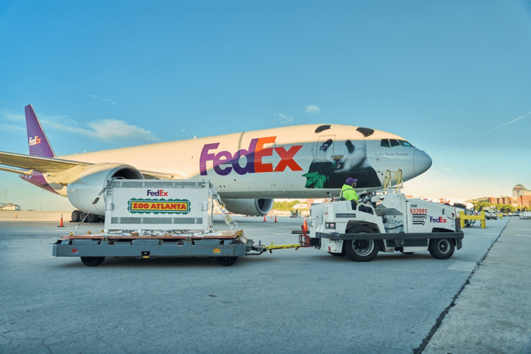 FedEx Panda Express transports giant pandas from China to the US